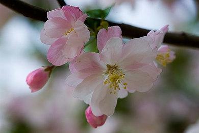 Fami通7月实体游戏销量排行榜 《怪物猎人崛起》回春夺冠